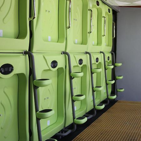 Pupa House - Capsule Hotel - Adults Only Tamarindo Exterior foto